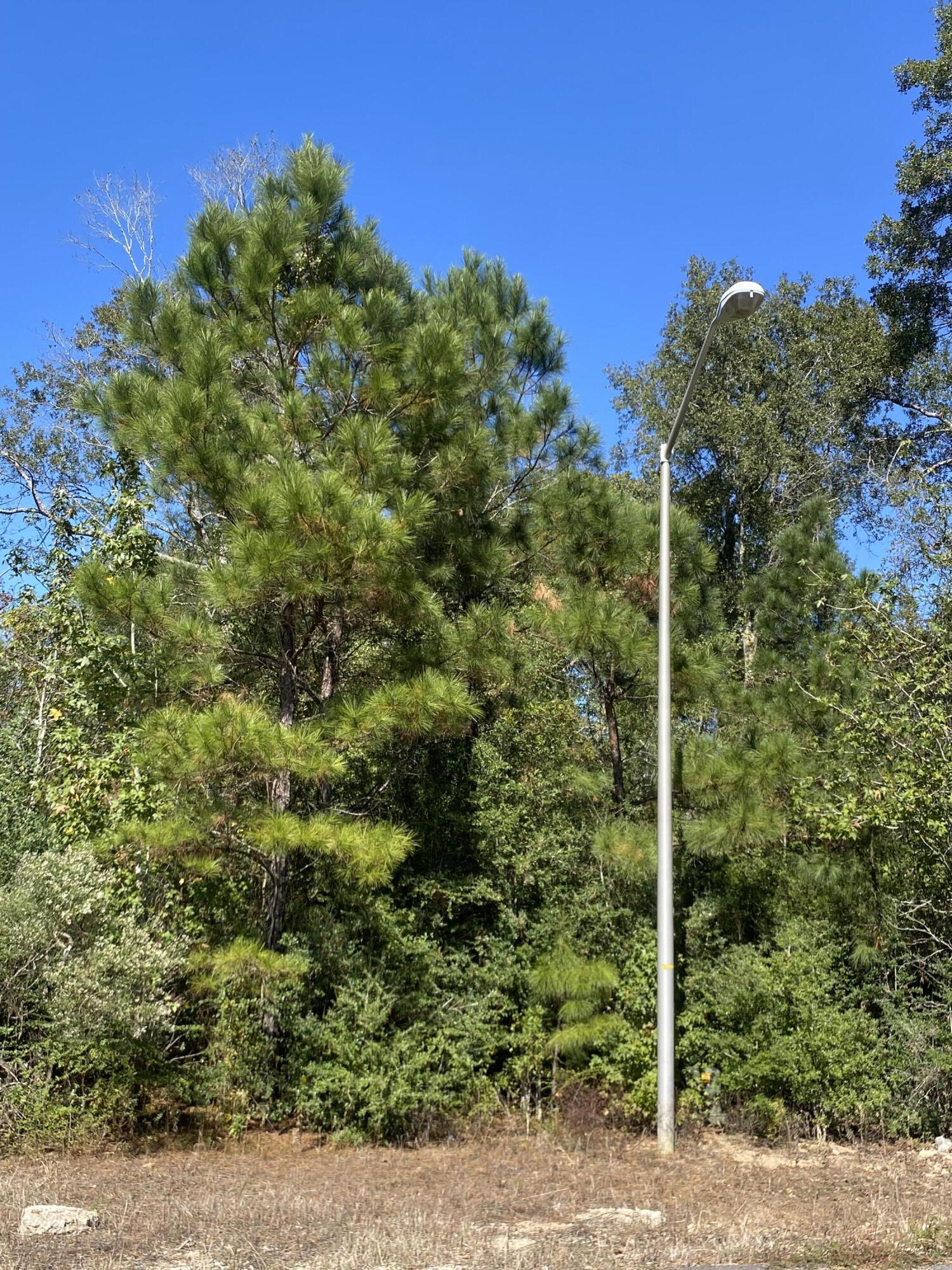 Photo 1 of 5 — E Robinwood Dr, Moss Bluff, LA 70611