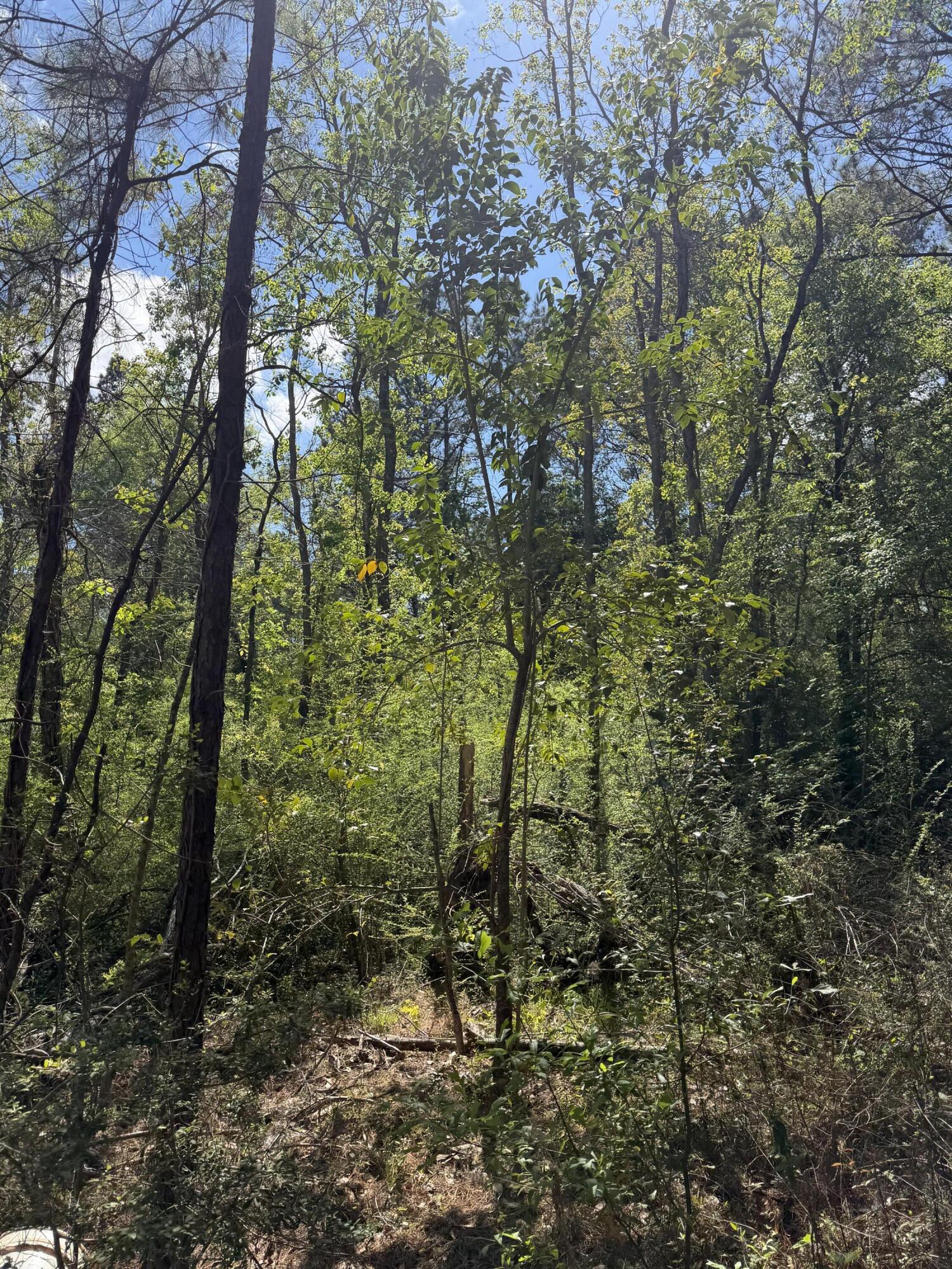 US-190 - Photo 4