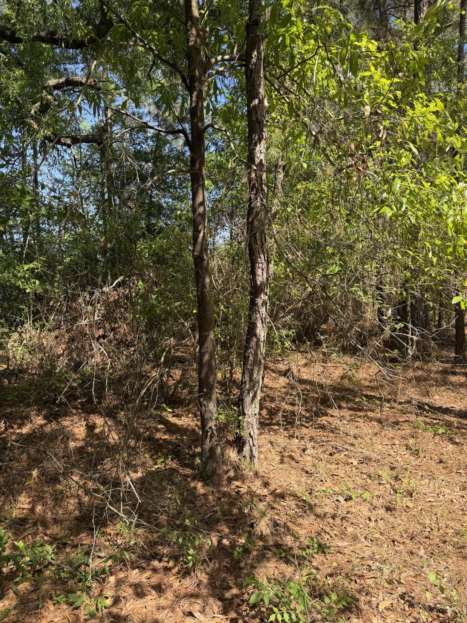 US-190 - Photo 2
