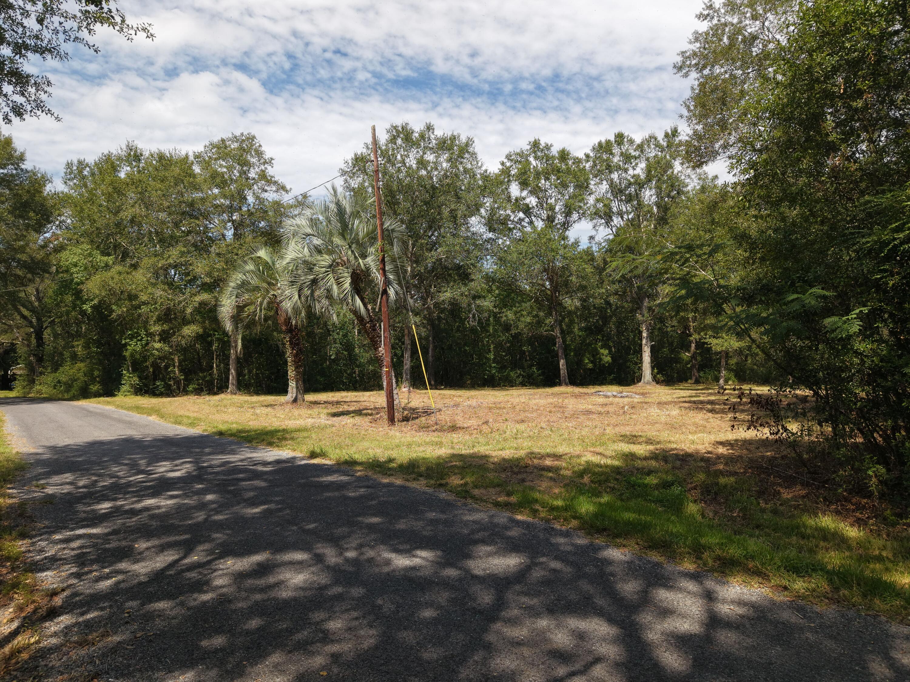 142 Cummings and Moses Rd - Photo 2