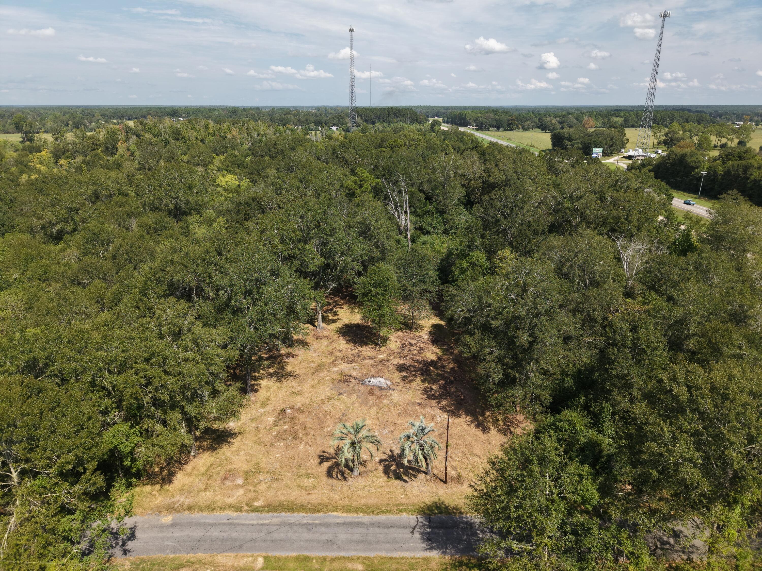 142 Cummings and Moses Rd - Photo 3