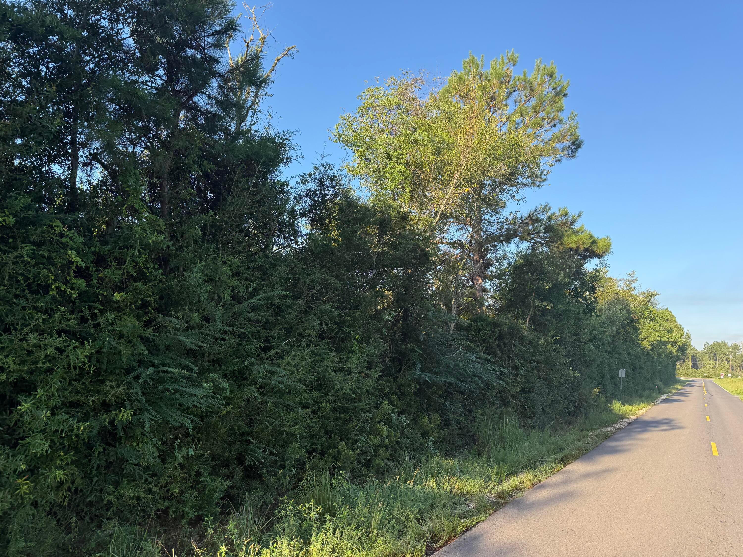 TBD Hauser Rd - Photo 3