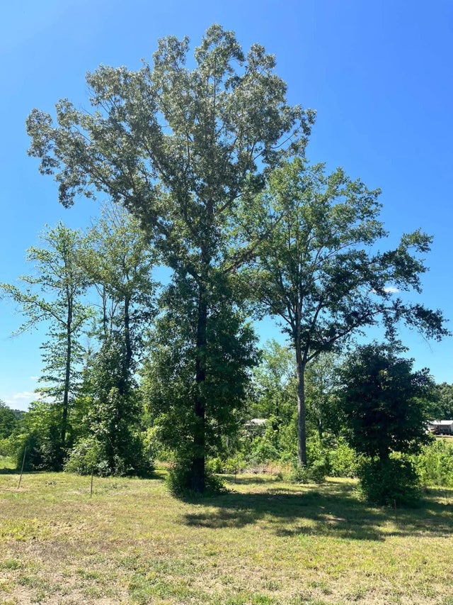Jewel Dr. LOT 2