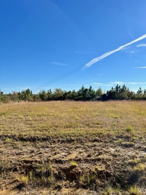 Photo 1 of 4 — REA RD, TRACT 7, DeRidder, LA 70634