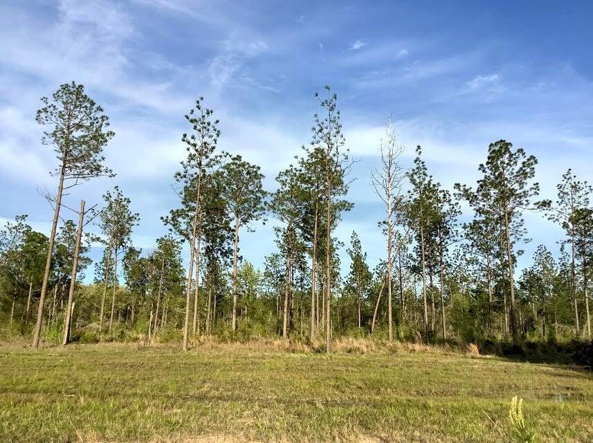 0 Sandy Loop Tract 4 - Photo 4