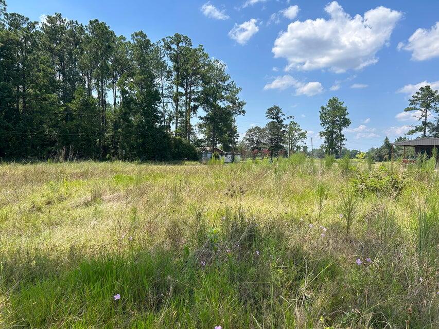 0 Sandy Loop Tract 4 - Photo 3