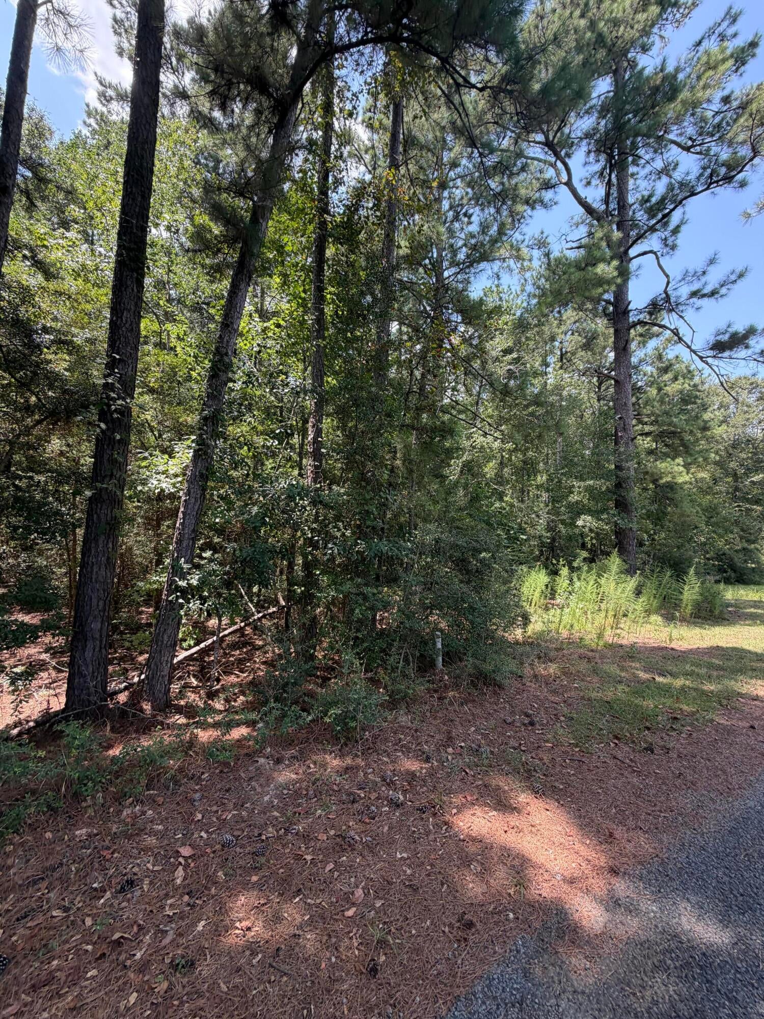 Sanders Rd - Photo 3