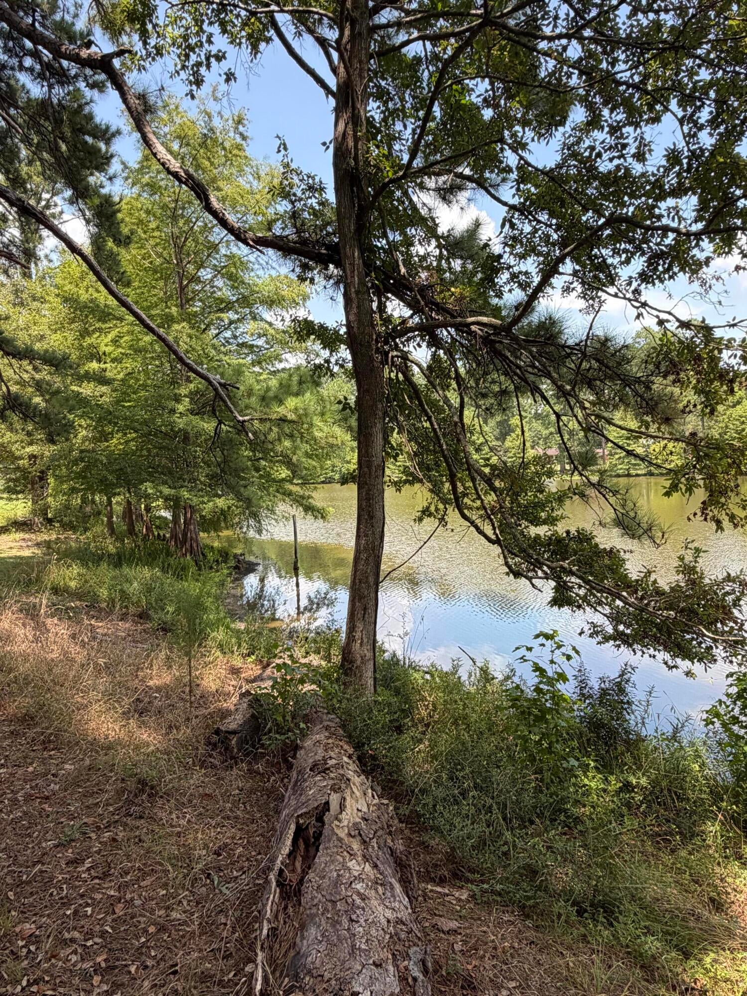 Sanders Rd - Photo 4