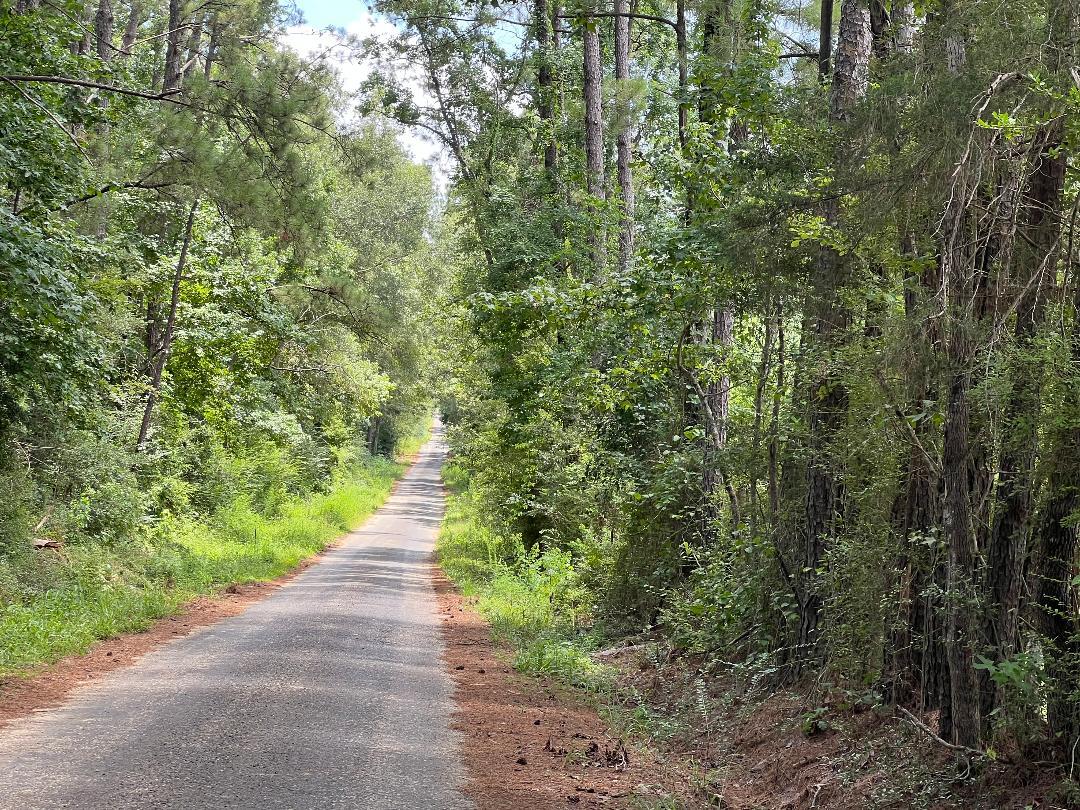 Photo 1 of 4 — Tom Bruce Rd, Longville, LA 70652