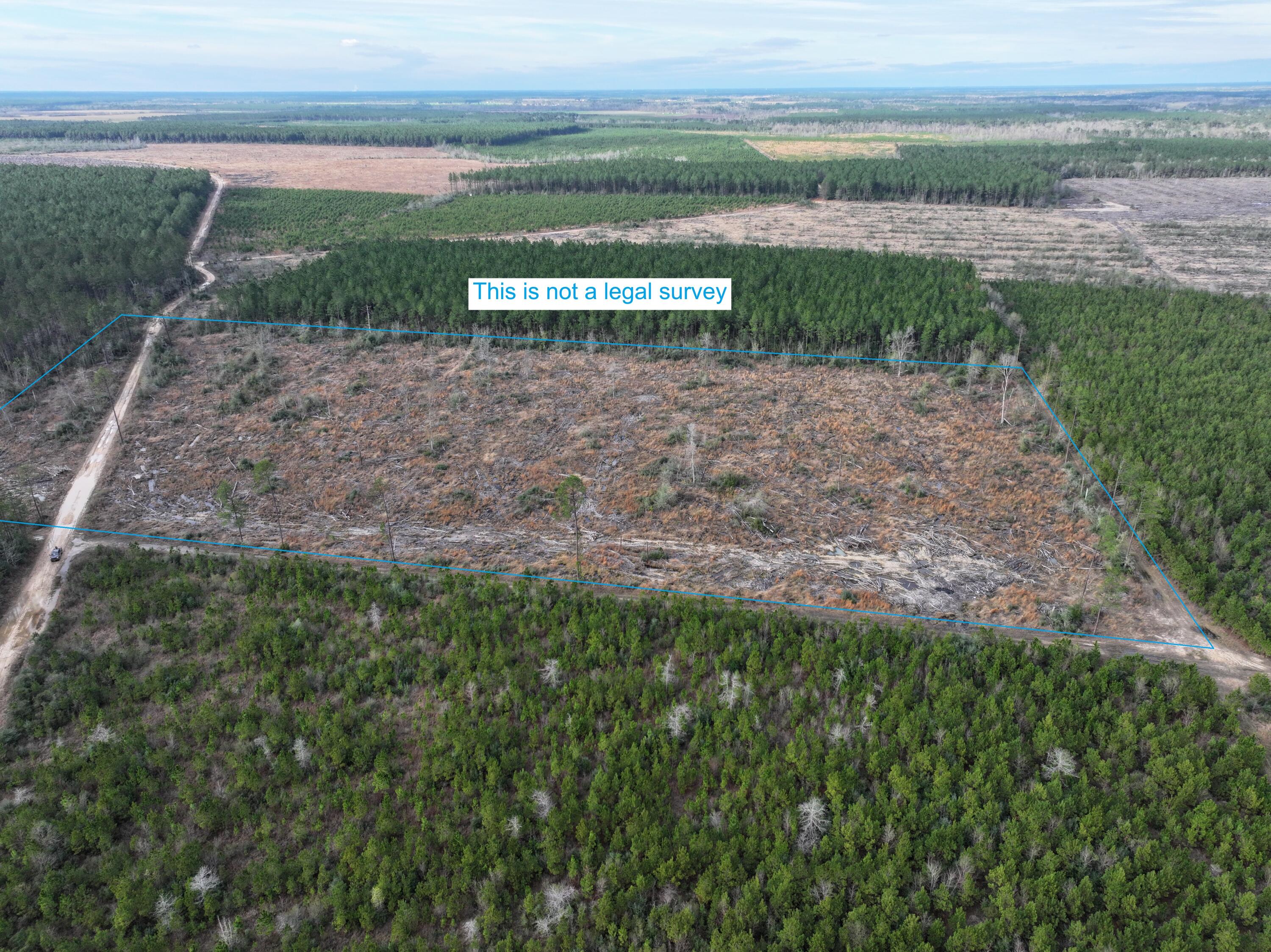US-171 S - Photo 2