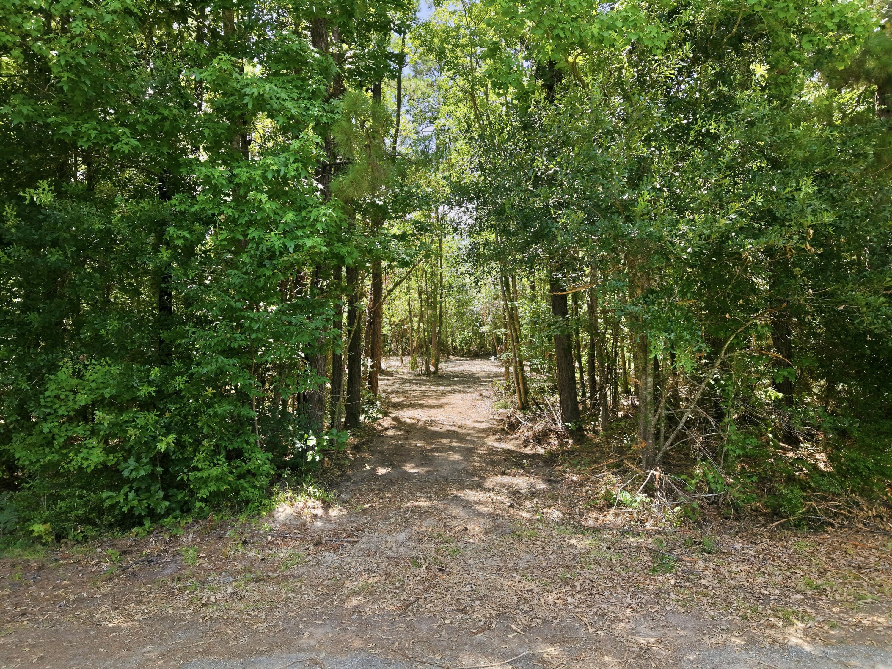 Photo 1 of 12 — Bilbo, DeRidder, LA 70634