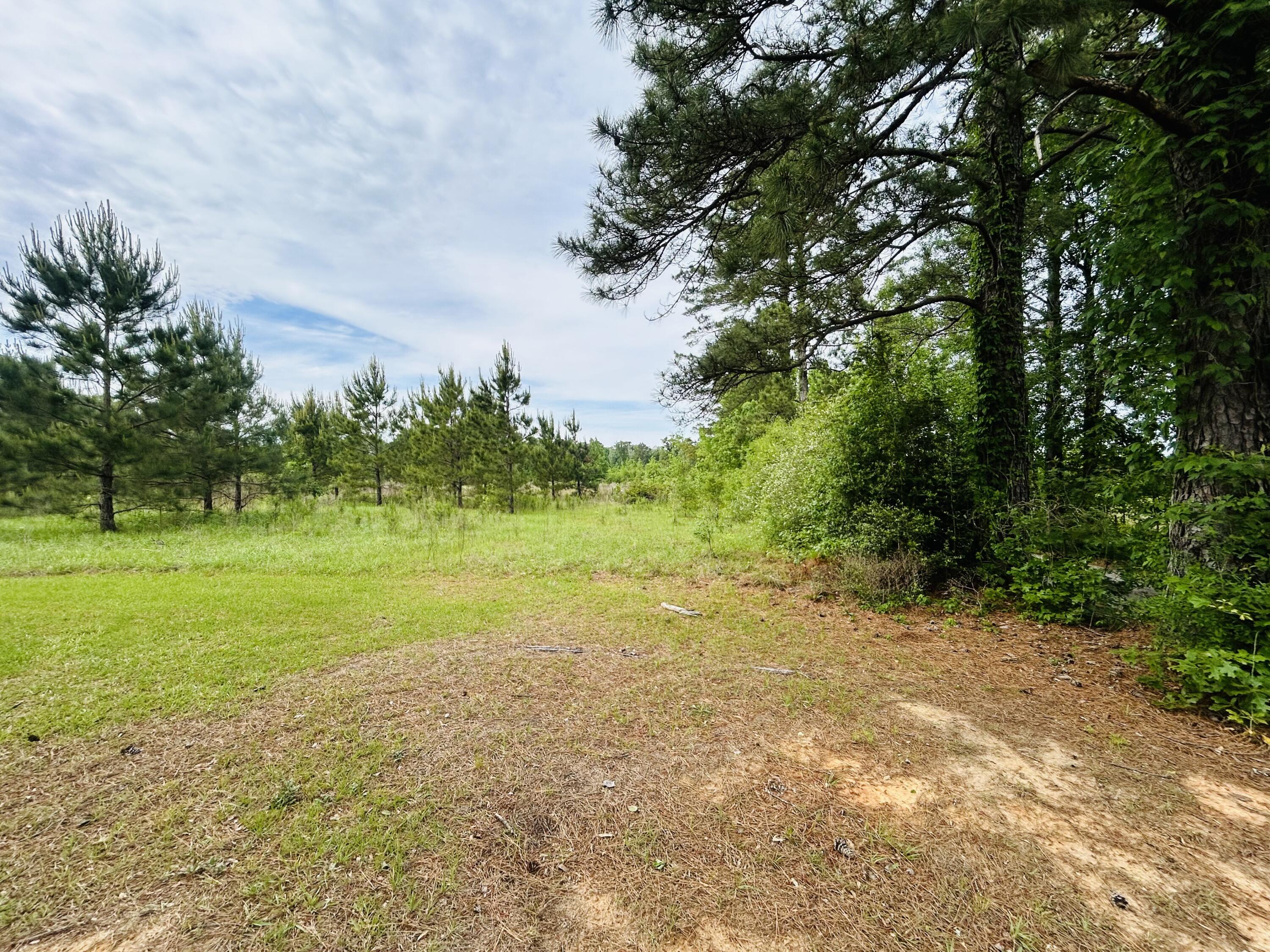 TBD Martin Road - Photo 2