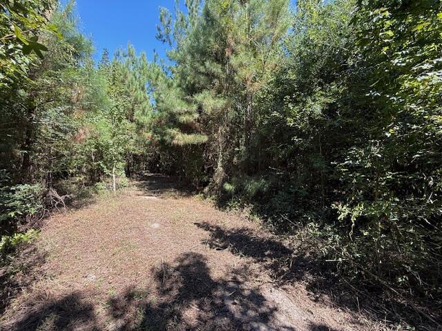 Photo 1 of 4 — State Rte 1146, DeRidder, LA 70634
