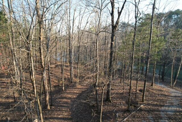 Photo 1 of 8 — LOT 57 SHORESIDE AT SIPSEY, Double Springs, AL 35553