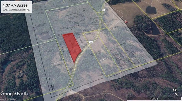 1012 COUNTY RD 353, LYNN, AL 35575 - Image 107319bc07f030c40f2b4cad296ea6cb/1864227254