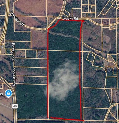 WEEKS RD, WINFIELD, AL 35594 - Image 1c27ed4d5fcd8d4ecff909f964f8a8d2/2305463168
