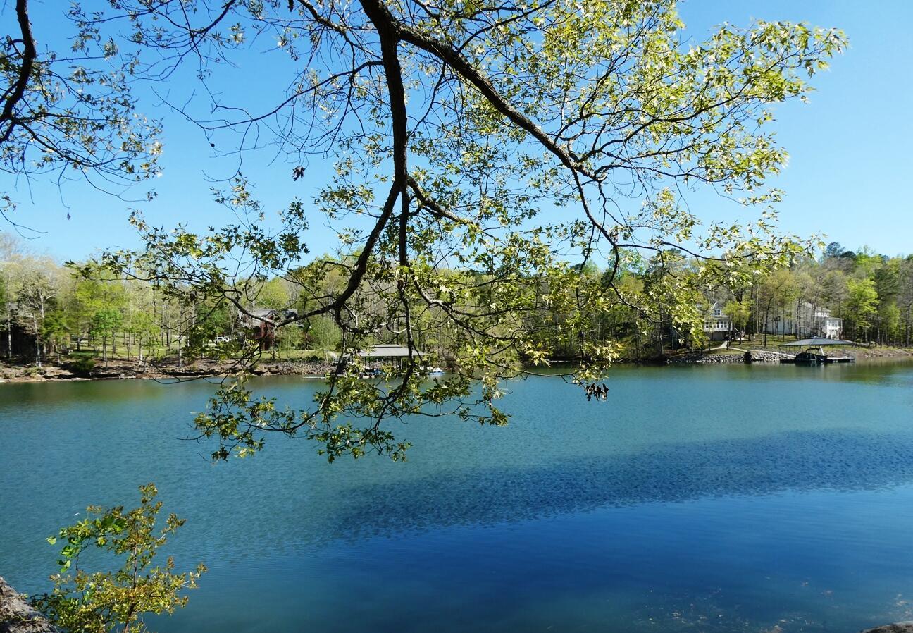 View of lake from the shoreline