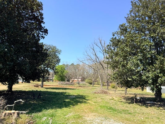 TEMPLE AVE N, FAYETTE, AL 35555 - Image 28b6c8ac8a8bd337ad1b0c6a06802f4b/591798338