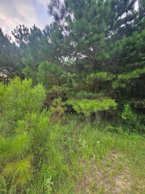 154 HIGHLAND SHORES DR, JASPER, AL 35503 - Image 44fd72bfa52add22f9ec0bdba5d56abc/2586759968