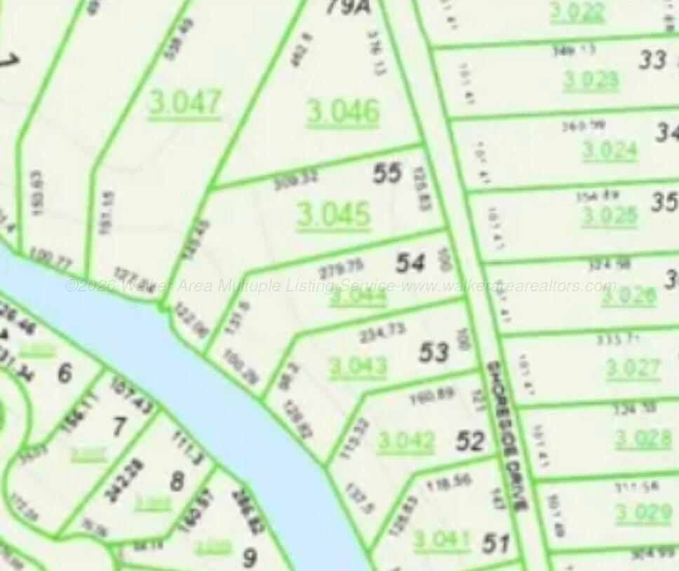 LOT53