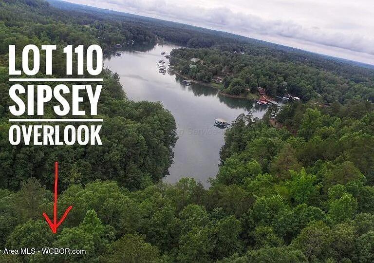 Lot 110 Sipsey Overlook