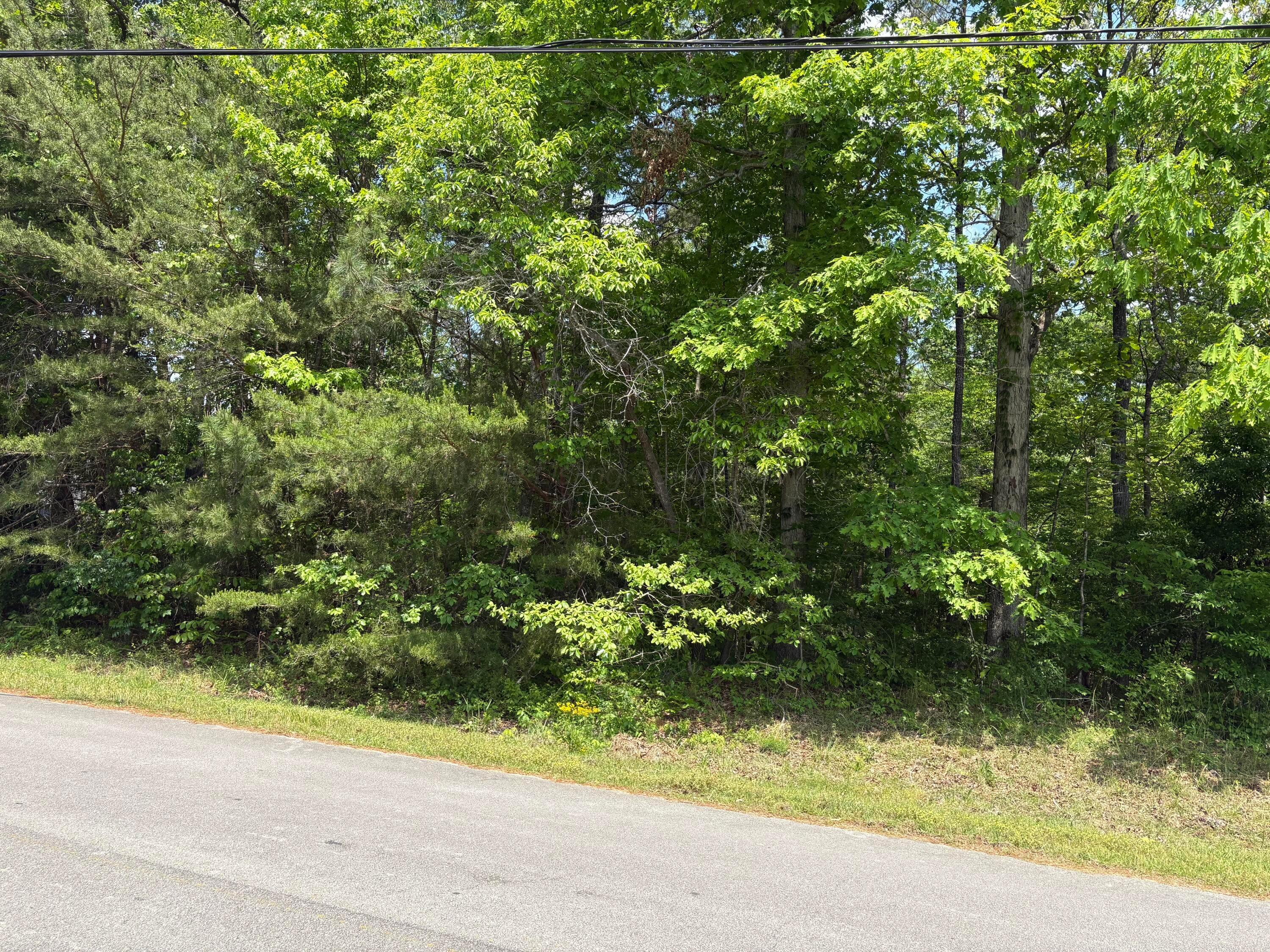 Lot 66 The Trace