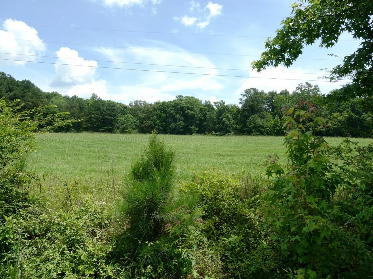 Photo 1 of 6 — COUNTY ROAD 4006, Crane Hill, AL 35053