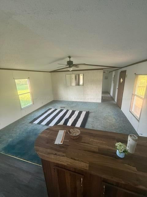 72 COUNTY ROAD 3184 - Photo 3