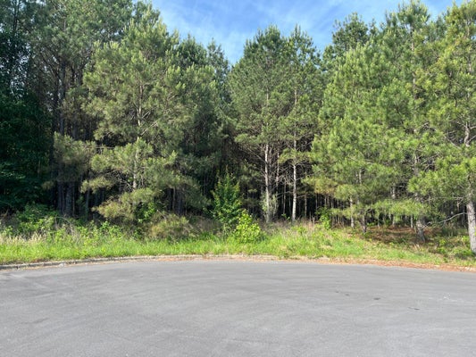 SUMMIT ST, SUMITON, AL 35148 - Image a2da1e18bb1fd024abd2837fcfc078d1/4023604103