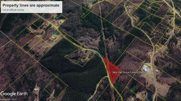 69 POPLAR SPRINGS RD, NAUVOO, AL 35578 - Image a678b4ecea46a75e6f472f02510263dd/59071870