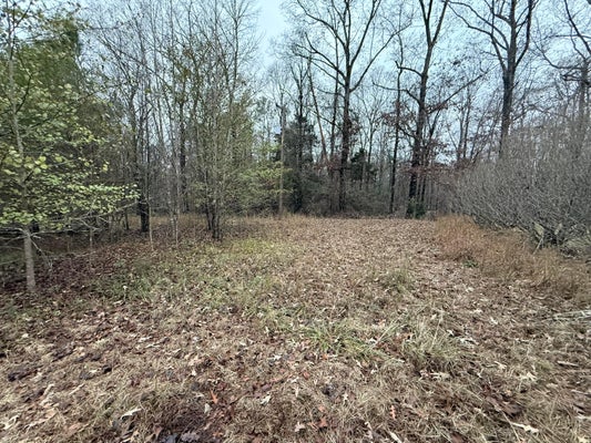 6TH CT NE, VERNON, AL 35592 - Image c495e02e240f57cf0fbe4ee56d40255c/835628804