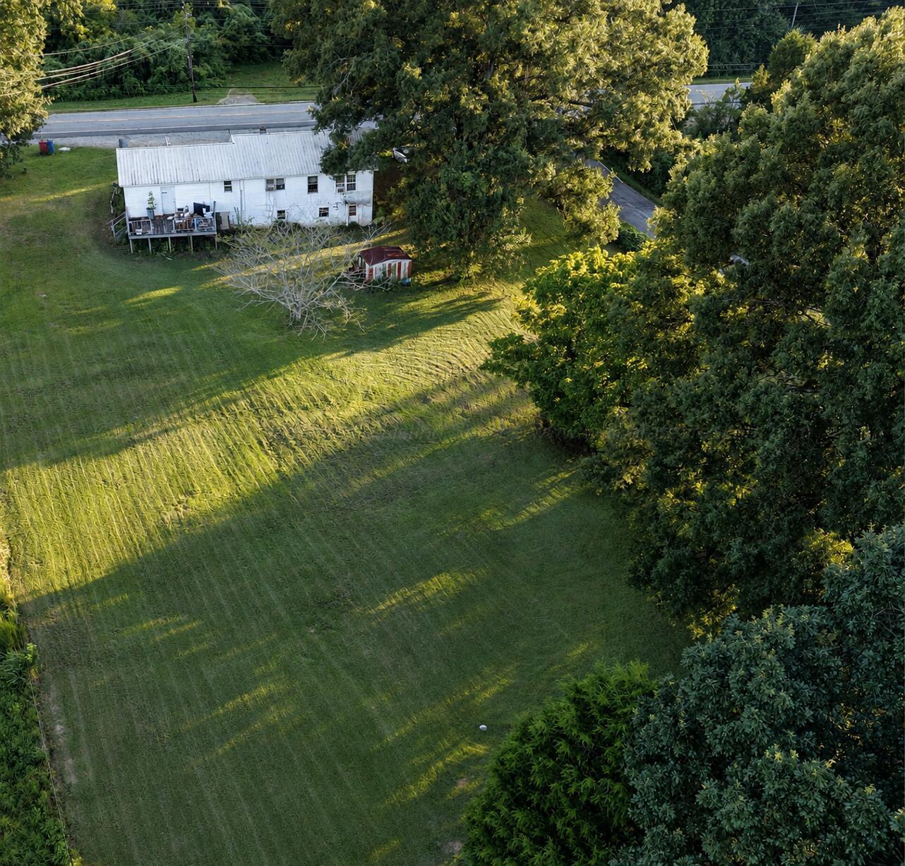 31320 ALABAMA 195 - Photo 3