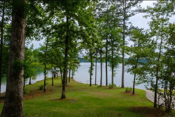 148 SUNNY LN, ARLEY, AL 35541 - Image cf917cbce68ddb053eecdbf8119fafa9/4125415524