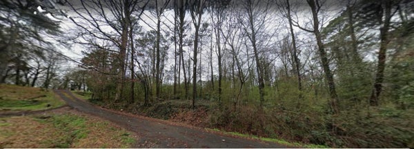 705 RUSHWAY LN, BIRMINGHAM, AL 35214 - Image d8964b09178c0a2ebbf33445c8ecbd42/2653588601