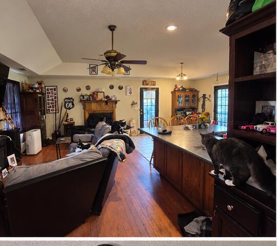 15427 ALABAMA 171 - Photo 4
