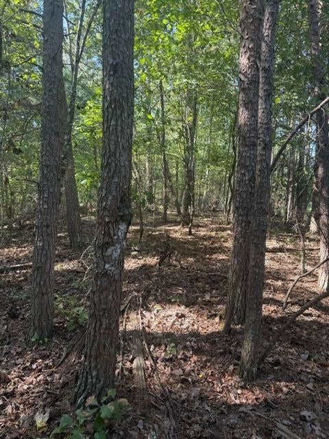 000 BALL PARK Rd - Photo 4