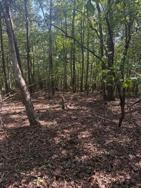 000 BALL PARK Rd - Photo 2