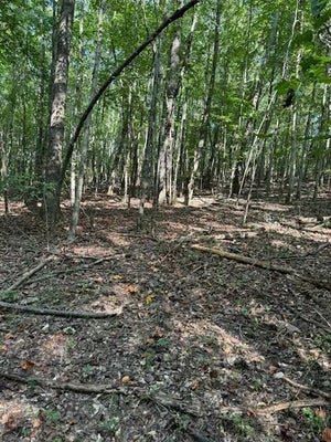 BELL RD, RUSSELLVILLE, AL 35653 - Image ed3e8b4e1b46cde677d4e4f4f58a7f3b/2530783334