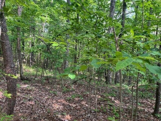 UNDERWOOD FERRY RD, QUINTON, AL 35130 - Image f50bddc5bb324d1e3ebeb7f786e0ade0/3742422019