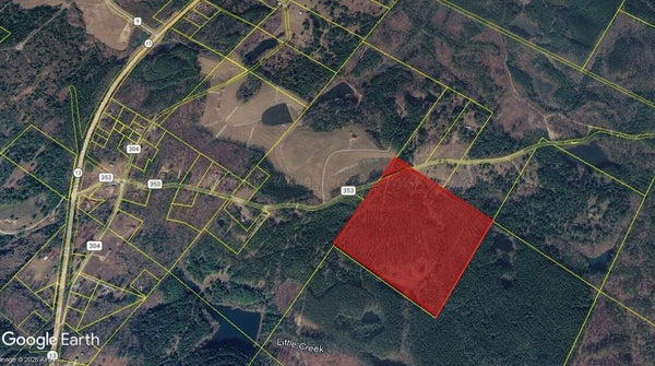 901 COUNTY RD 353, LYNN, AL 35575 - Image fcaa99e06981e2ff395a5fc6d8b937f7/3244921792