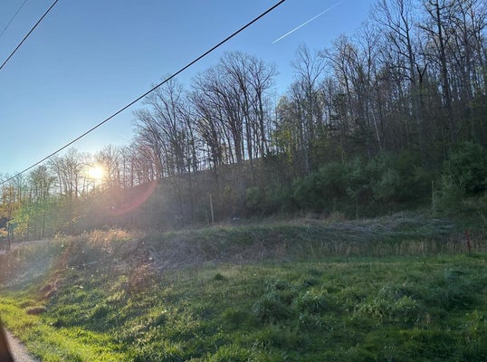 610 BUFFALO RD, MEALLY, KY 41234 - Image 00a1a030ce9904663dd72133ac2b932d/985558183