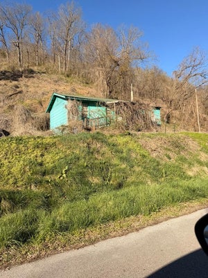 87 SPRINGFIELD DR, WAYLAND, KY 41666 - Image 0149486f736df1a8055bd2a496eb3b93/3628163003