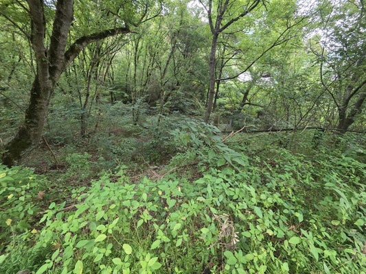 490 ROCKY RD, PIKEVILLE, KY 41501 - Image 3ac178f28c8cfa2b3629a60efc4b0673/1134872172