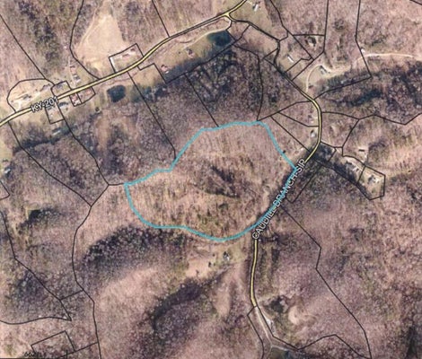 445 CAUDILL BR, SITKA, KY 41255 - Image 6cccba4bcc2c4109b0db2b48bde68162/141221022