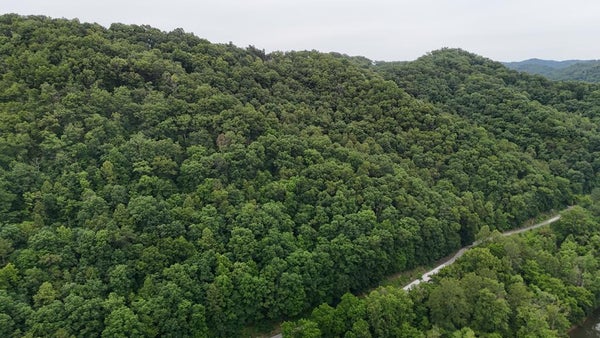 YELLOW CREEK RD, LOUISA, KY 41230 - Image 8cf1bb678c7d5842e4be881eb2b1f2e3/4176997546