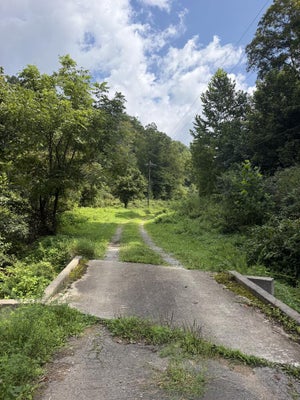 96 DANIELS CRK, BANNER, KY 41603 - Image bf3587b4f83be85e465737ddbd11a89d/3949067253