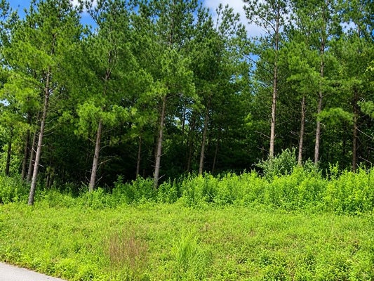 5 CEDAR CREEK PHASE 7, PIKEVILLE, KY 41501 - Image d7858119eef667eafcd5a66b64e5c4b7/3673639587