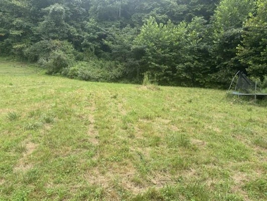 52 JOHNSON ST, PIKEVILLE, KY 41501 - Image db4eac31b8a323e46e4b1dd7df5e7e92/4200900177