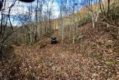 16 RIGHT FORK OF ROCKHOUSE RD, PIKEVILLE, KY 41501 - Image ef9db6d865d2b82c53914a4ece921594/1225423714