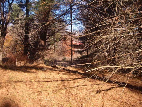 Photo for 00 Elk Run Road